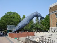 DSC00967.JPG